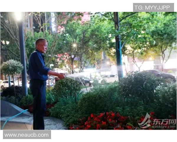 温布利草坪质量引球员不满欧冠决赛场地争议再度升级