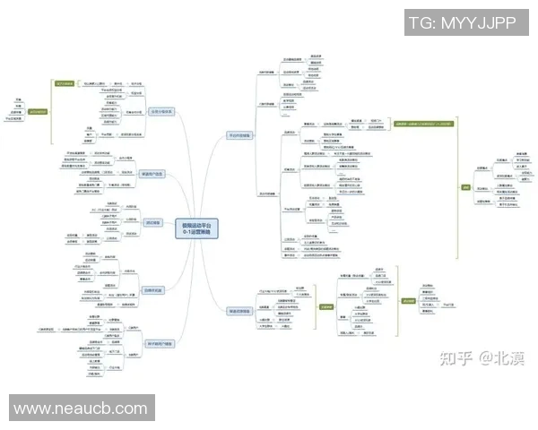 深入分析北京极限运动队的运营策略与发展模式探讨